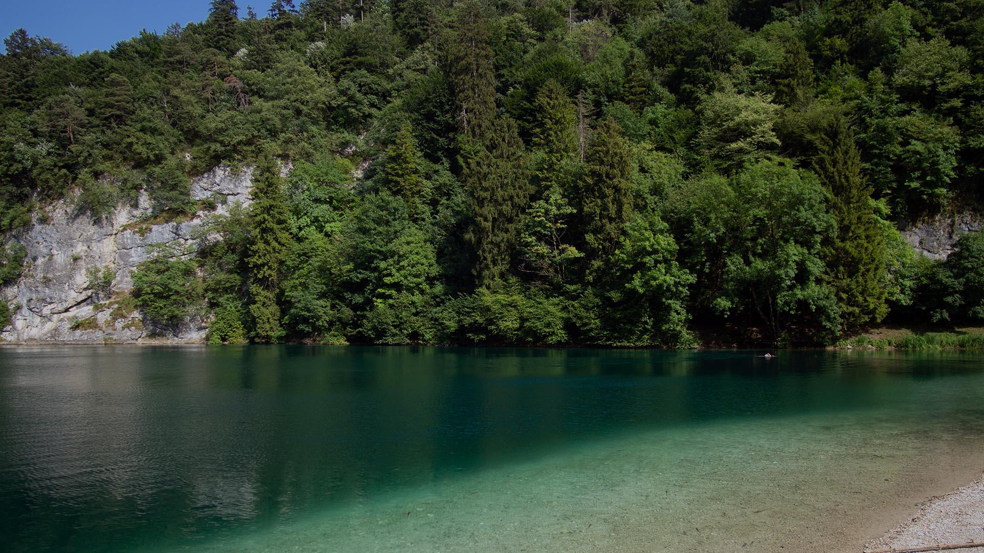 Lago limpido circondato da una foresta verde e una spiaggia di ghiaia.