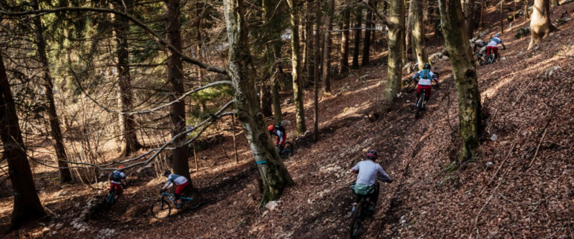 Ciclisti percorrono un sentiero boschivo in mountain bike, tra alberi e foglie cadute.