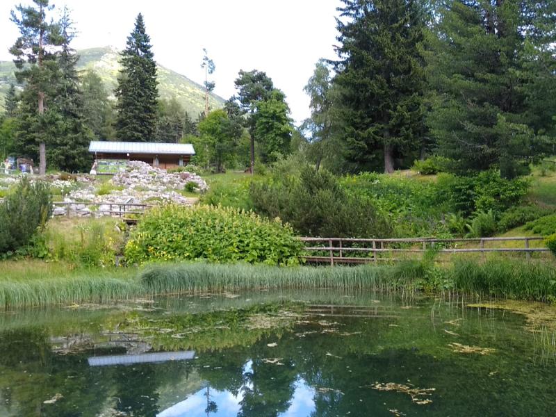 Paesaggio montano con laghetto, vegetazione rigogliosa e casetta di legno sullo sfondo.