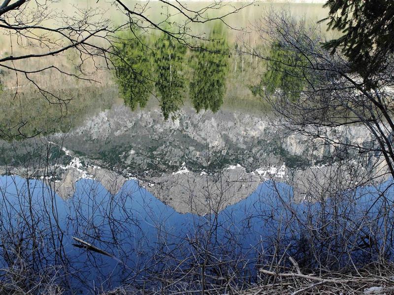 Riflesso di alberi e montagne in un lago circondato da rami secchi.