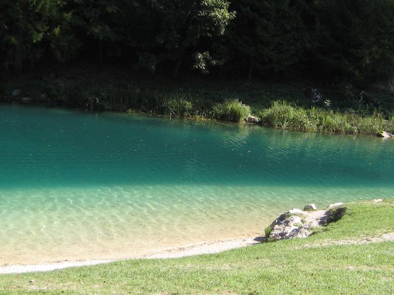 Lago turchese circondato da erba verde e alberi rigogliosi.